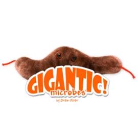 giant microbes diarrhea