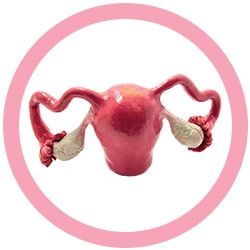 giant microbes uterus