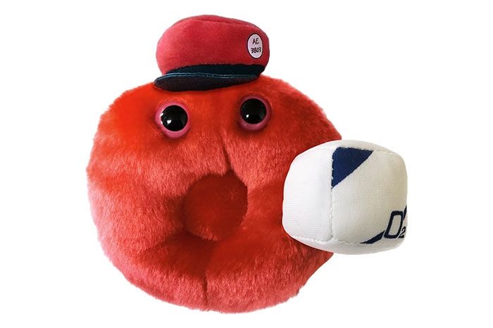 cells at work giant microbes