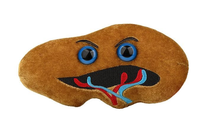 spleen plush