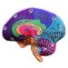 Brain plush model right