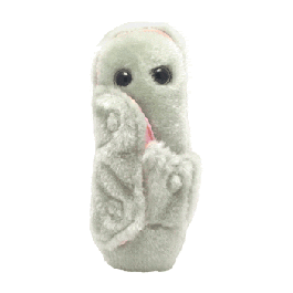 giant microbes leprosy