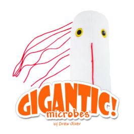 giant microbes salmonella