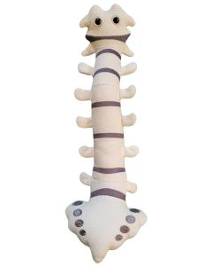 Spine plush front