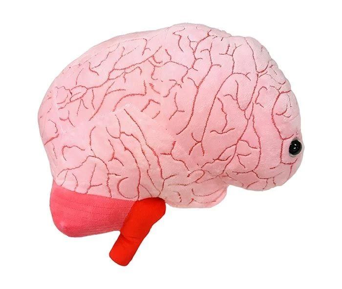 Brain gigantic plush side