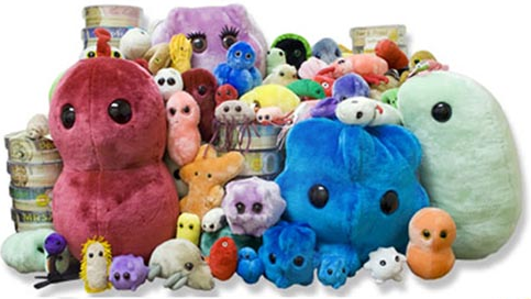 microbe plush toys