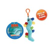 DNA Key Chain 12 Pack
