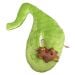 Deluxe Gallbladder plush with brown gallstone