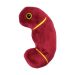 Kidney plush doll