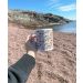 Microbes mug at the beach