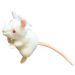 White Lab Mouse key chain angle