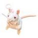 White Lab Mouse Key Chain 12 Pack