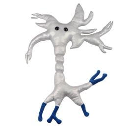 Brain Cell Gigantic 25