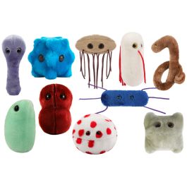 Bacteria plush on sale