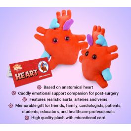 anatomically correct plush beating heart