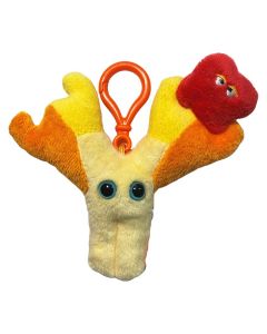 Antibody key ring