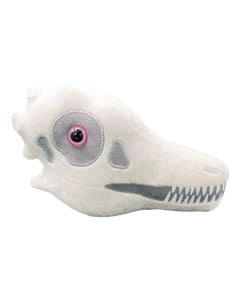 Archaeopteryx plush skull