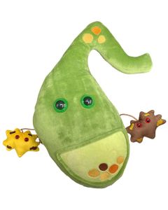 Deluxe Gallbladder plush with minis