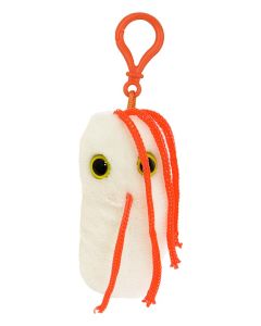 Salmonella key chain