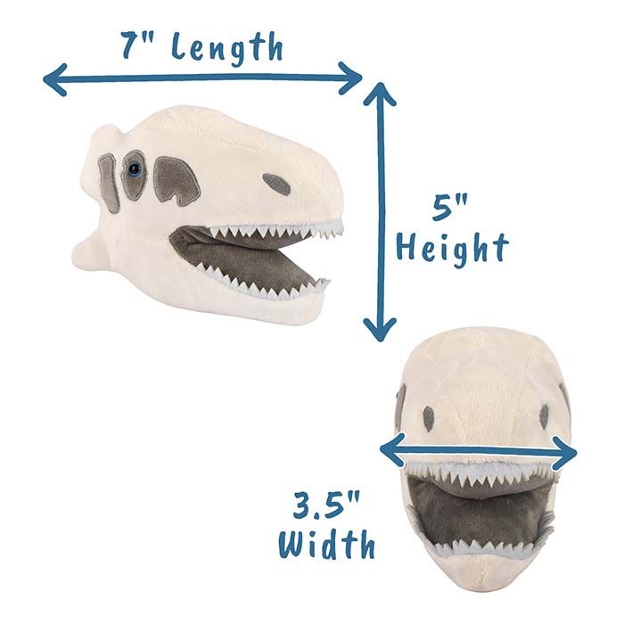 Allosaurus dimensions