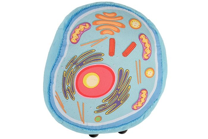 Animal Cell plush top