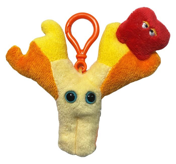 Antibody key ring