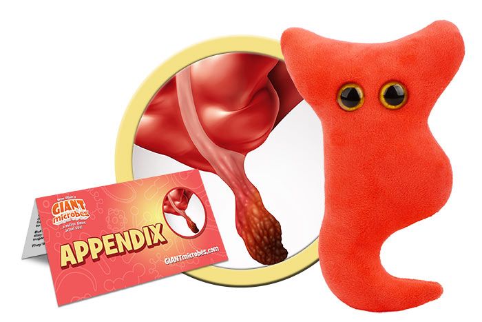 giant microbes appendix