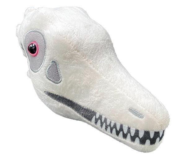 Archaeopteryx plush skull angle