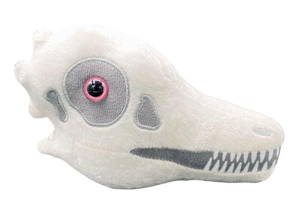 Archaeopteryx plush skull side