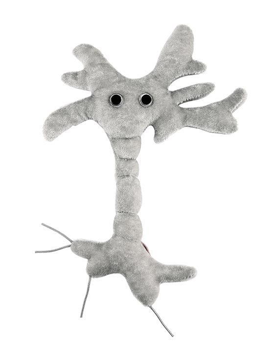 Brain Cell plush doll