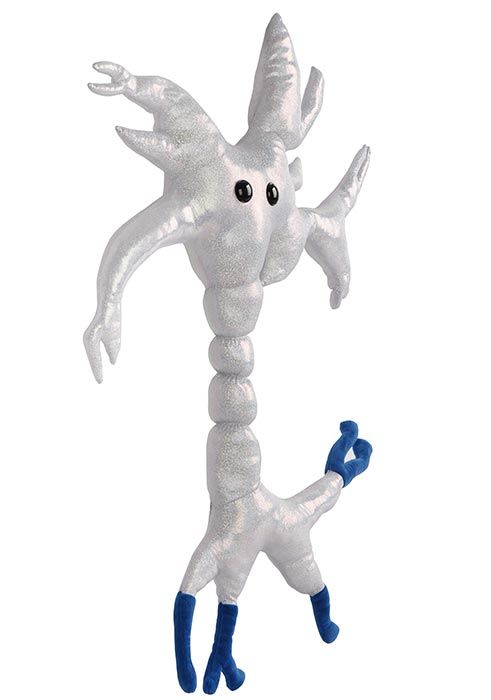 Brain Cell gigantic new angle