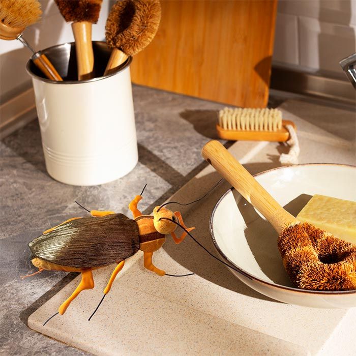 Cockroach plush in kitchen