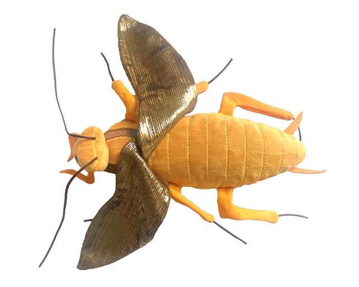 Cockroach plush open wings