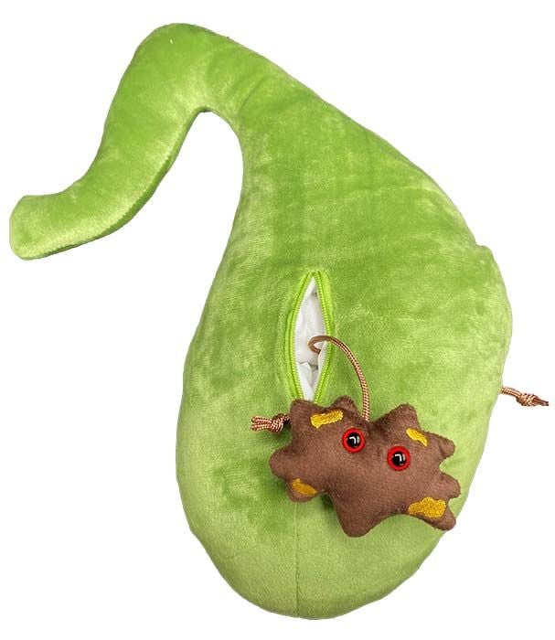 Deluxe Gallbladder plush with brown gallstone