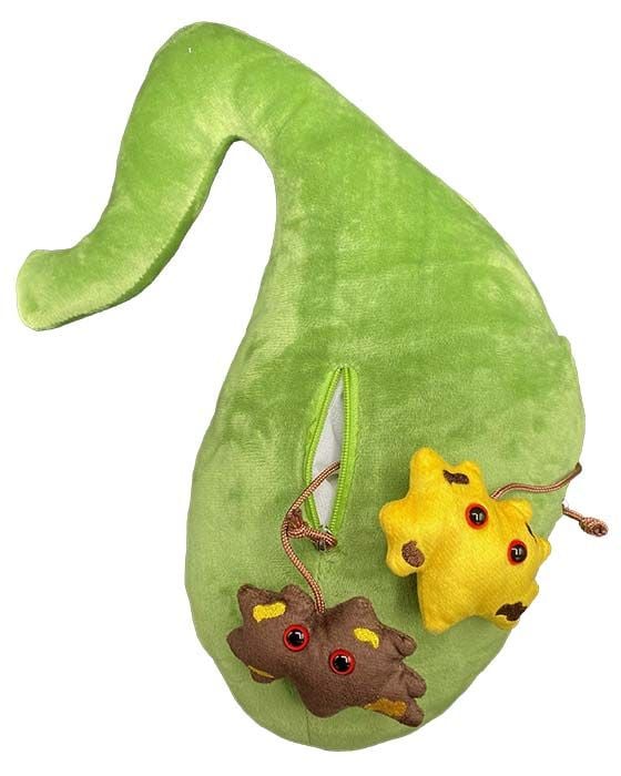 Deluxe Gallbladder plush with both gallstones