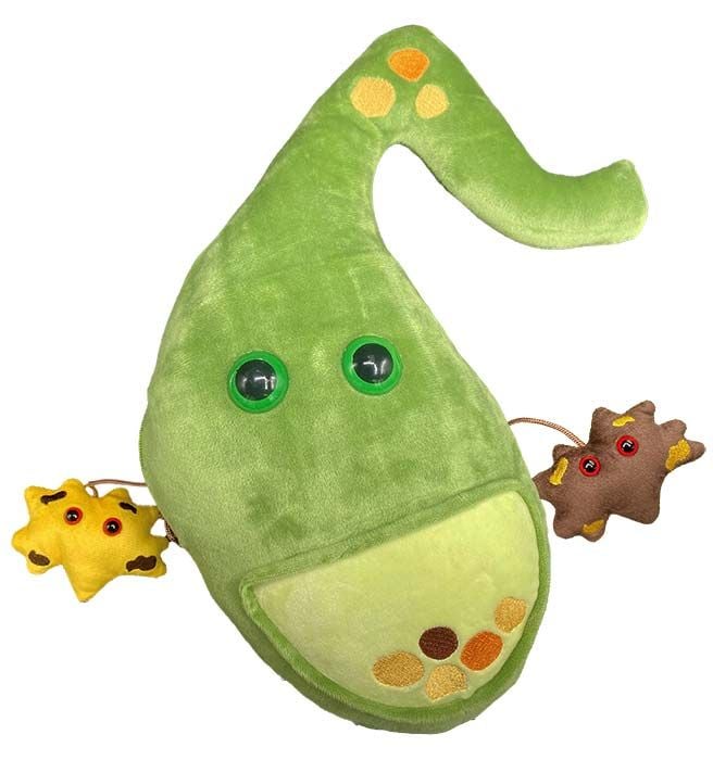 Deluxe Gallbladder plush with minis