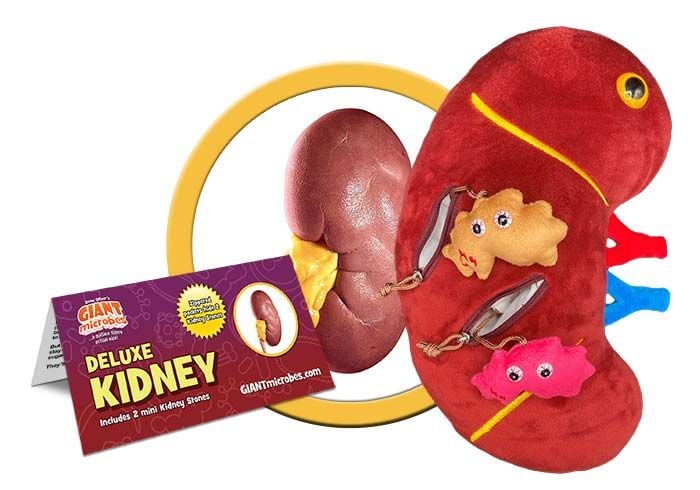 Deluxe Kidney plush cluster