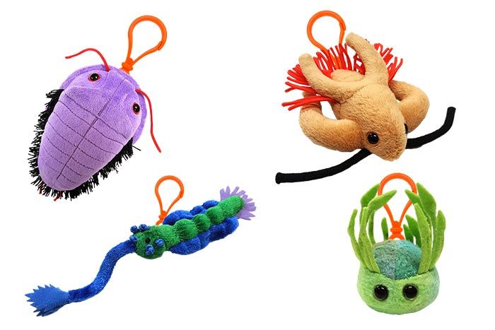 Cambrian Creatures 4-pack