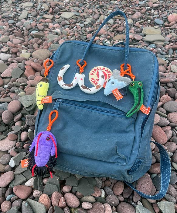 Fuzzy Fossils backpack on rocks