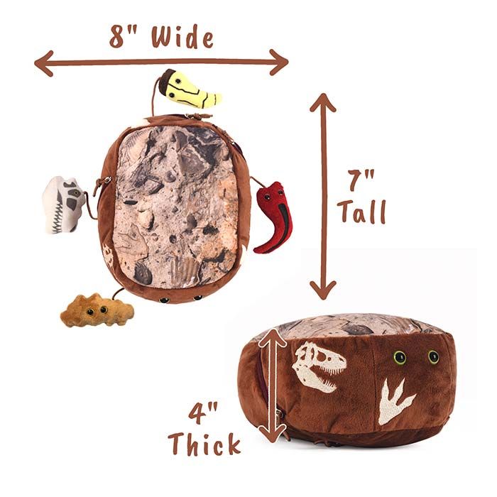 T. Rex Fossil Dig dimensions