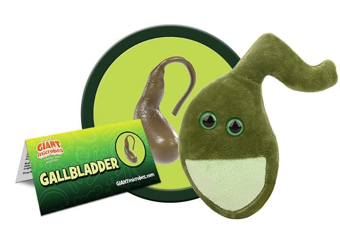 gallbladder stuffed toy