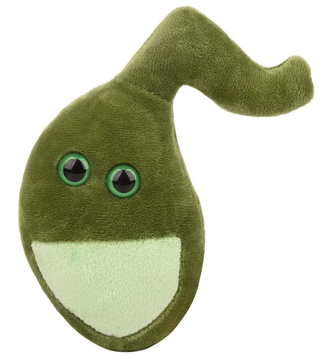 Gallbladder plush doll