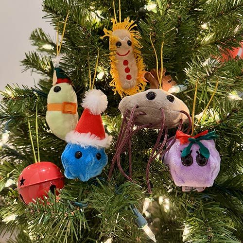 Germ ornaments close on tree