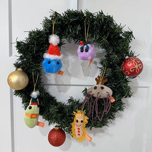 Germ ornaments on wreath