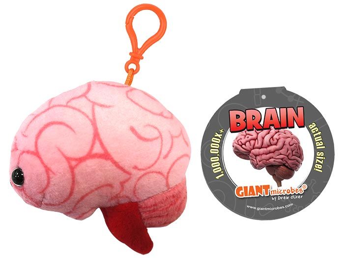Brain key chain