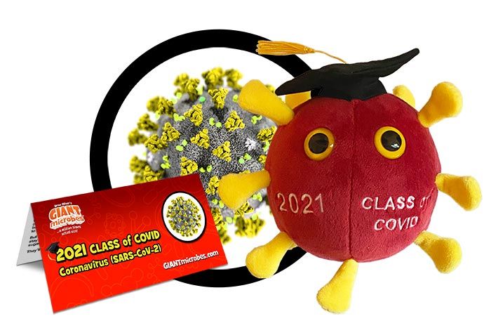 giant microbes graduation