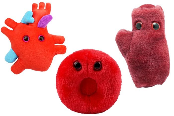 Blood cell plush deals