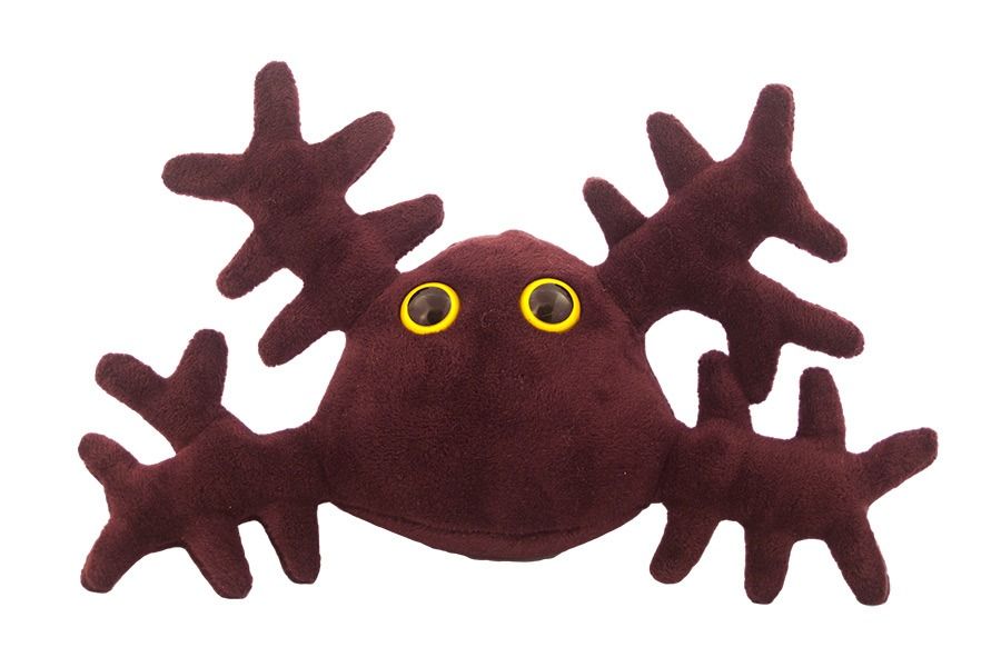 Kidney Cell plush doll