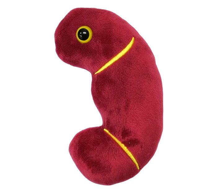 Kidney plush doll