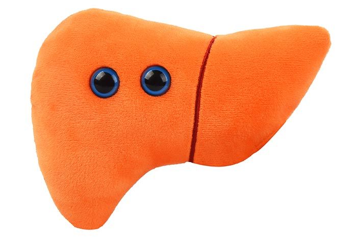 Liver plush doll